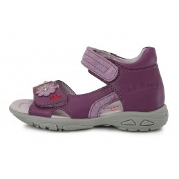 Violetinės basutės 19-24 d....