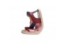 2 - Rožinės barefoot basutės 20-25 d. G076-51334B